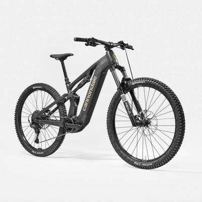Canondale Moterra 3